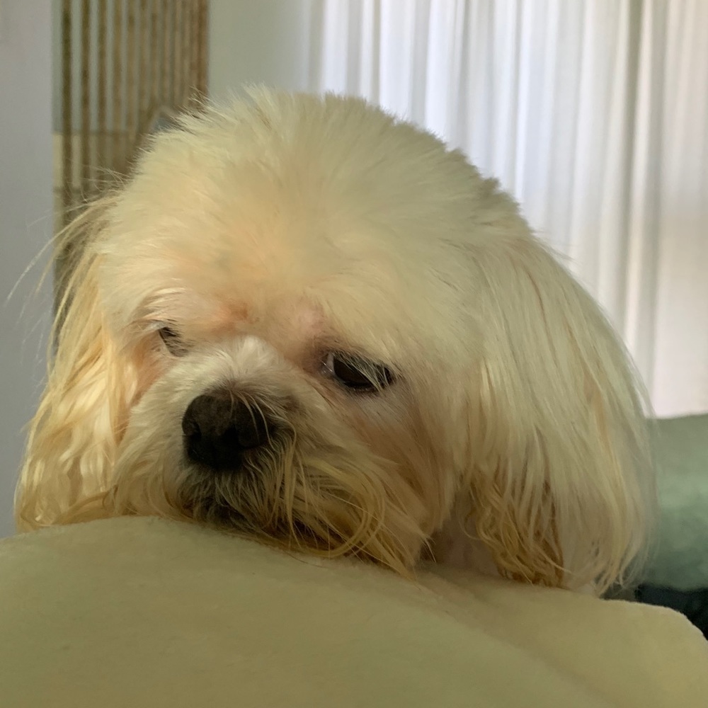 Meet your Posher, Delissa